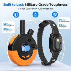 RPZ LED safety beacon lights keep your dog visible at night.
