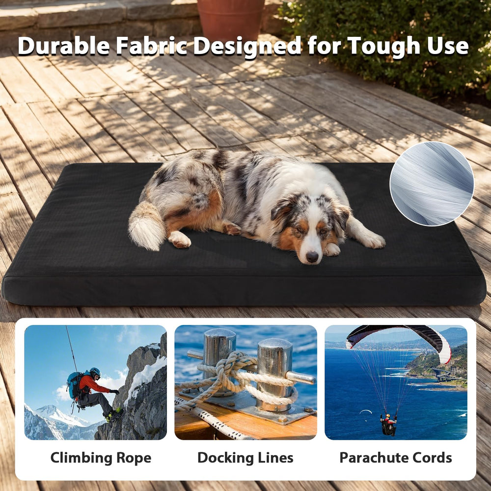 RRPETHOME interior view highlights safe, fiberglass-free surface.