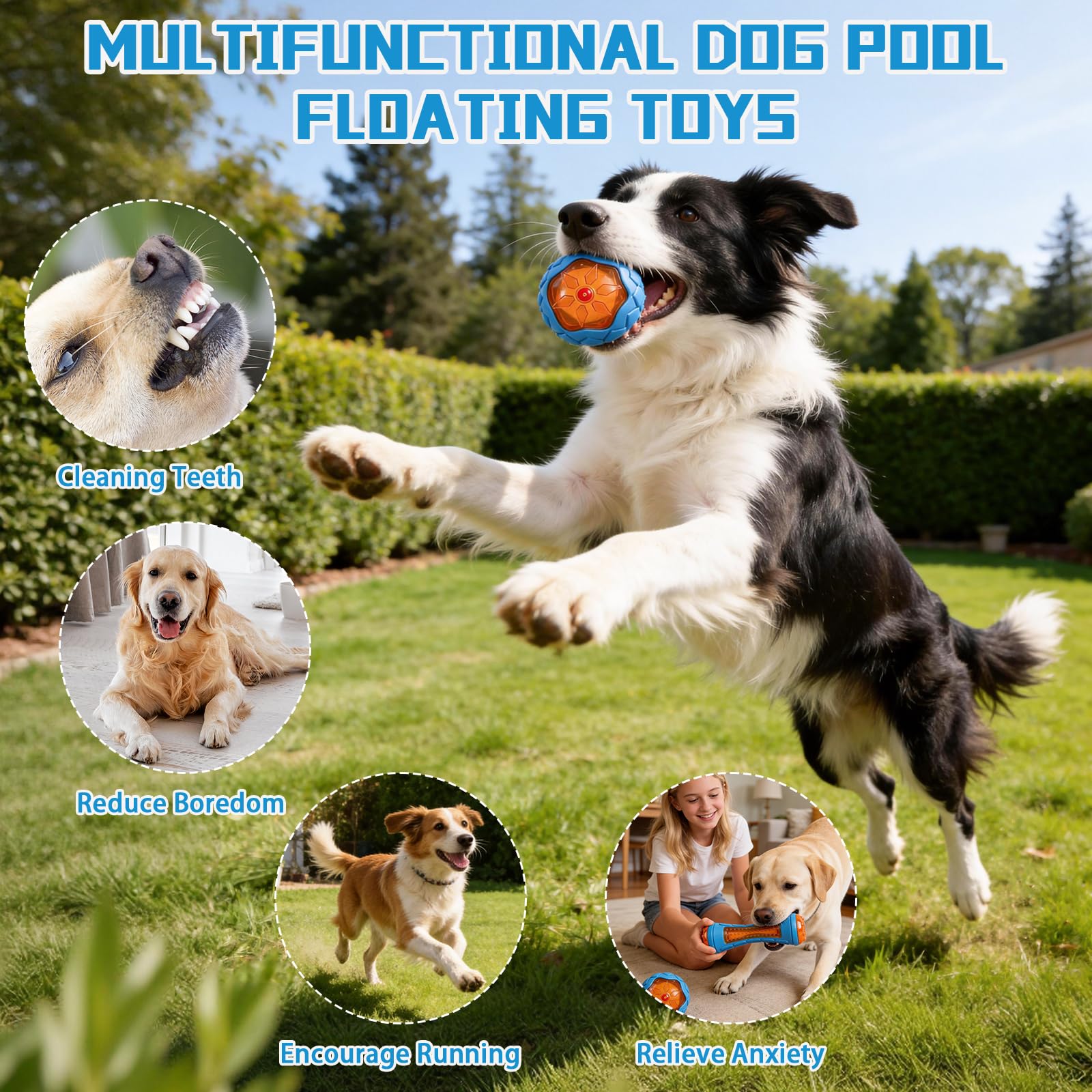 RSSCIIIUL pool toys collection for lake, pool, or beach fun.