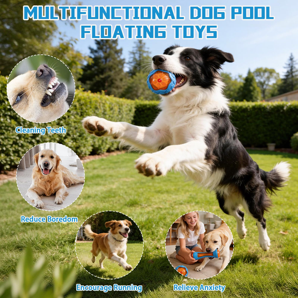 RSSCIIIUL pool toys collection for lake, pool, or beach fun.