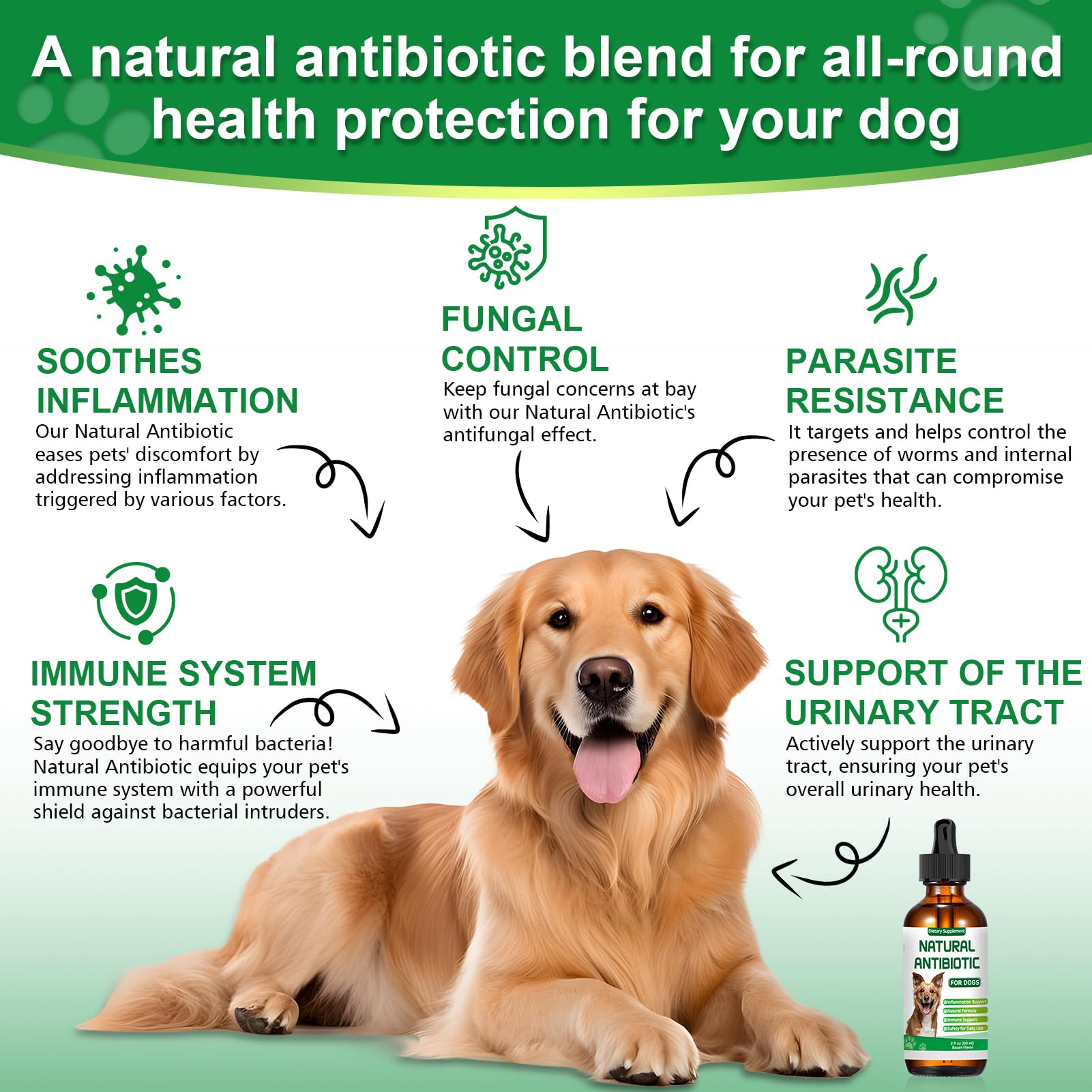 RUAKPL antibiotics for dogs dropper: easy dosing for accurate weight-based servings