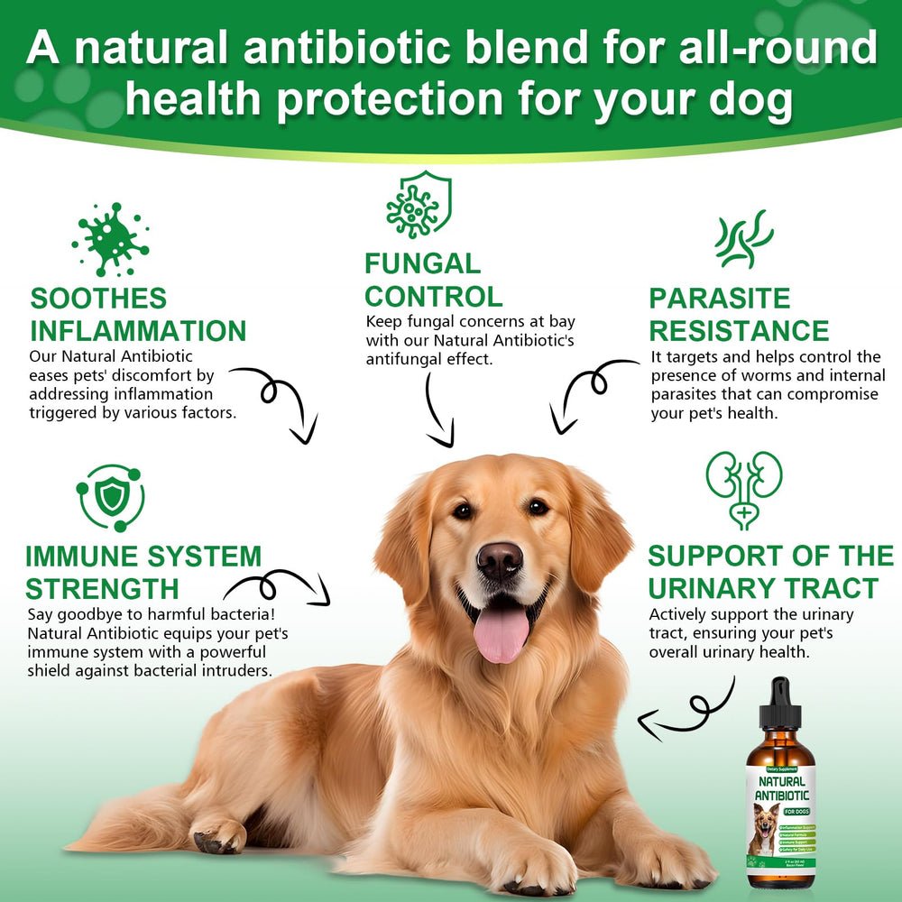 RUAKPL antibiotics for dogs dropper: easy dosing for accurate weight-based servings