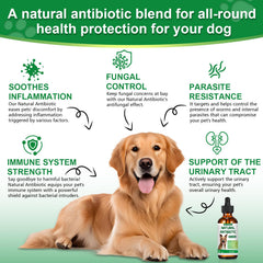 RUAKPL antibiotics for dogs dropper: easy dosing for accurate weight-based servings