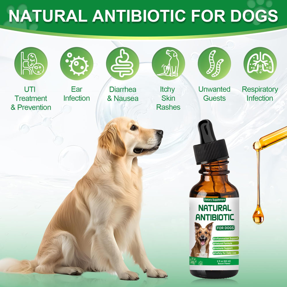 RUAKPL antibiotics for dogs ingredients echinacea: herbal support for immune resilience