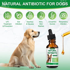 RUAKPL antibiotics for dogs ingredients echinacea: herbal support for immune resilience