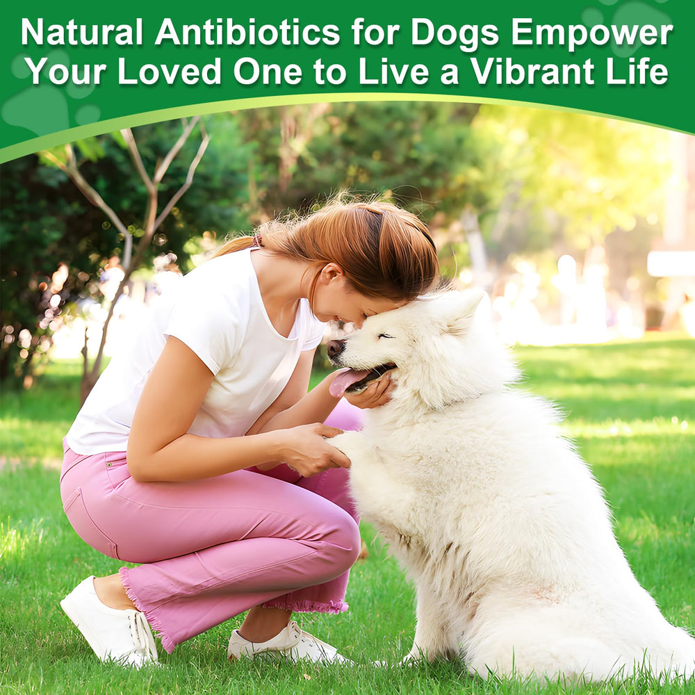 RUAKPL antibiotics for dogs ingredients oregano: antioxidant herb aiding overall vitality
