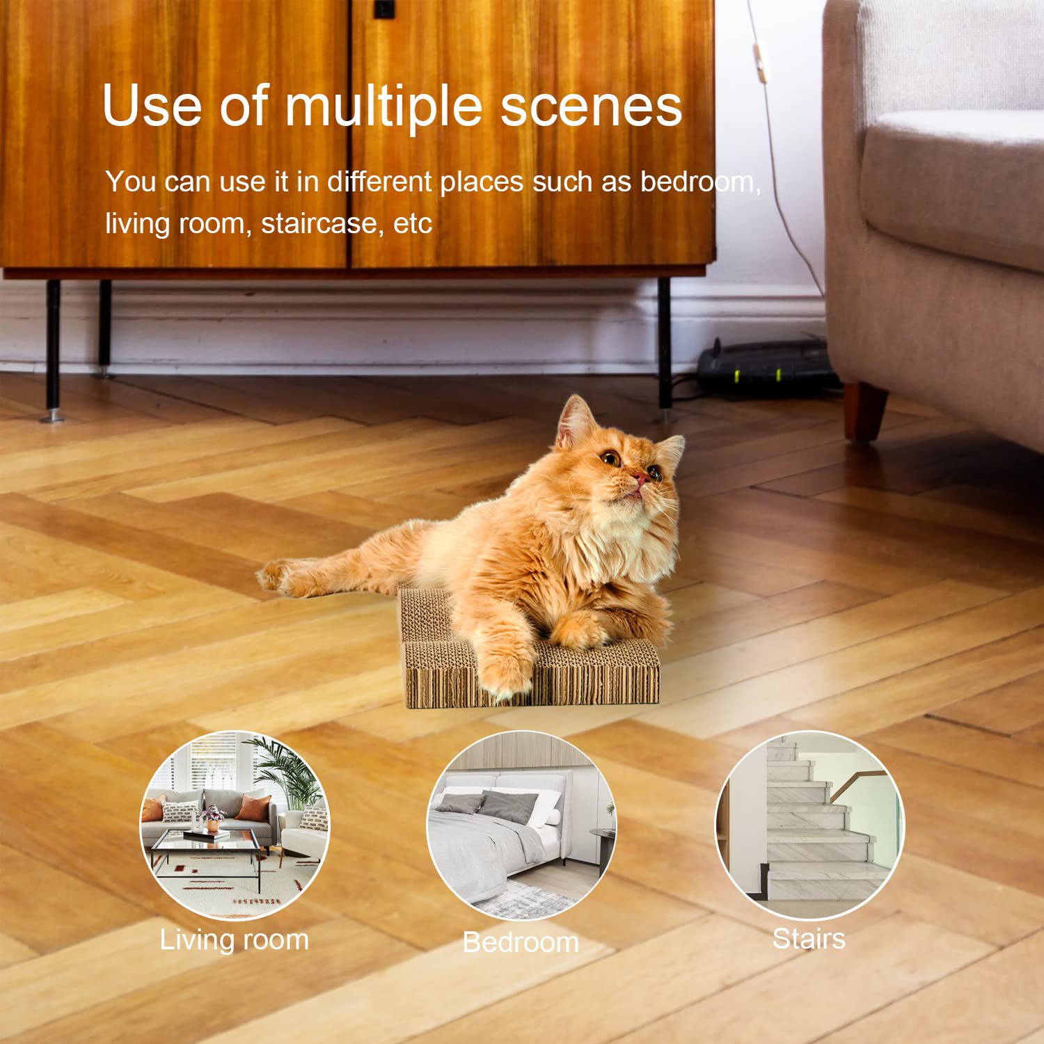 RUBMEOW cat using scratch pad in living area