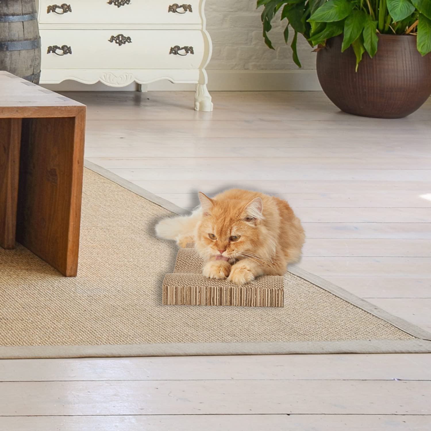 RUBMEOW furniture protection as cat scratches the board