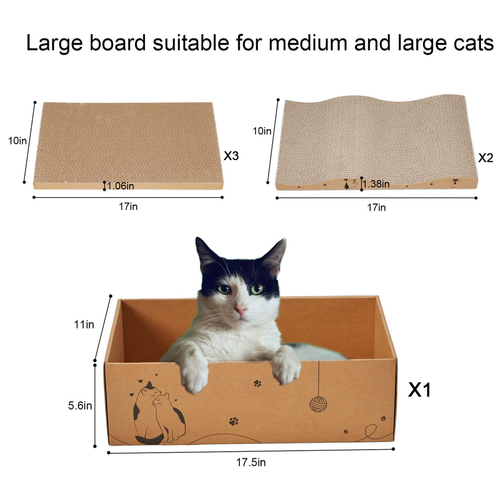 RUBMEOW scratch-box interior shows easy debris collection.
