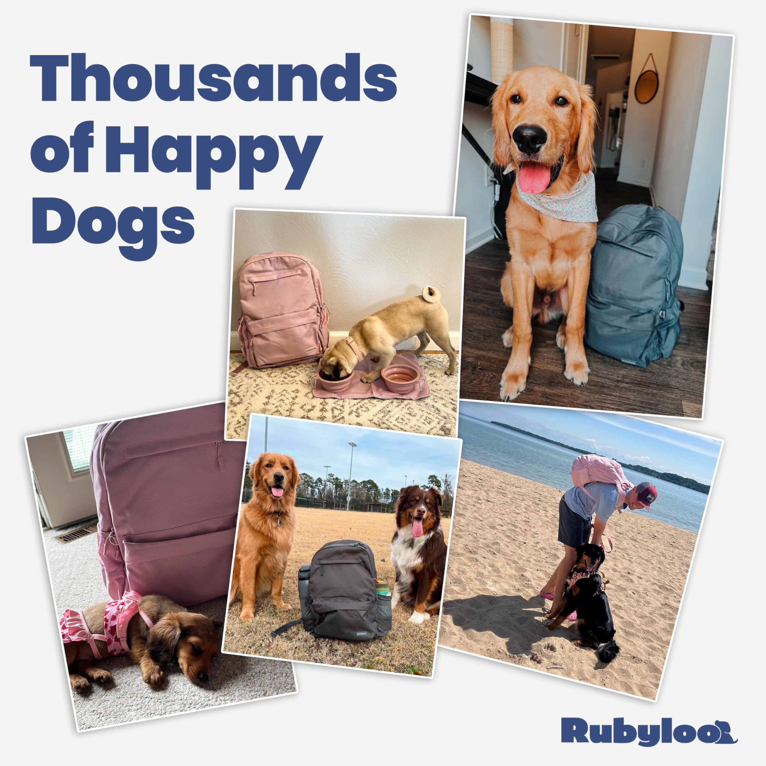 Rubyloo dog travel bag carry-on approved for flights.