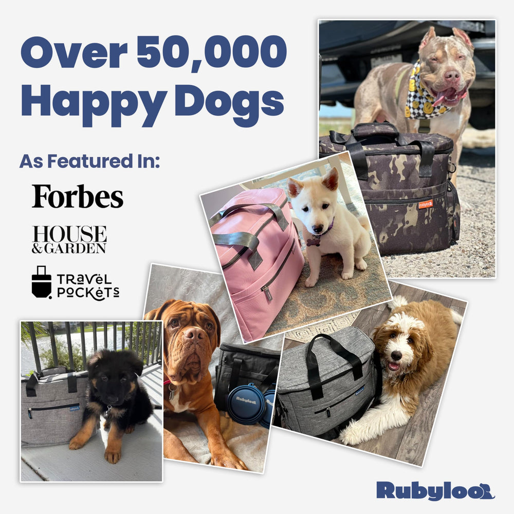 Rubyloo sturdy zippers endure rugged dog travels.