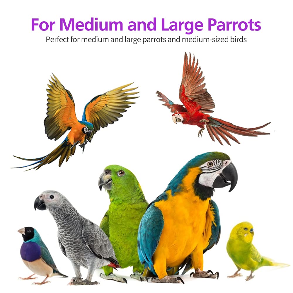 RubyQ chewing toy promotes safe beak activity and exploration.