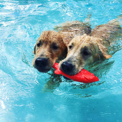 Ruff Dawg durable rubber construction supports long lasting fetch sessions.