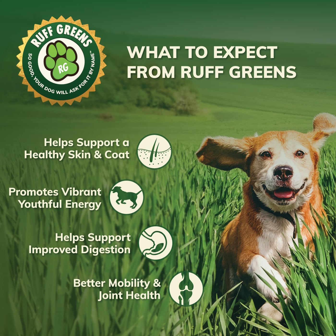 Ruff Greens senior dog mobility support for aging pets
