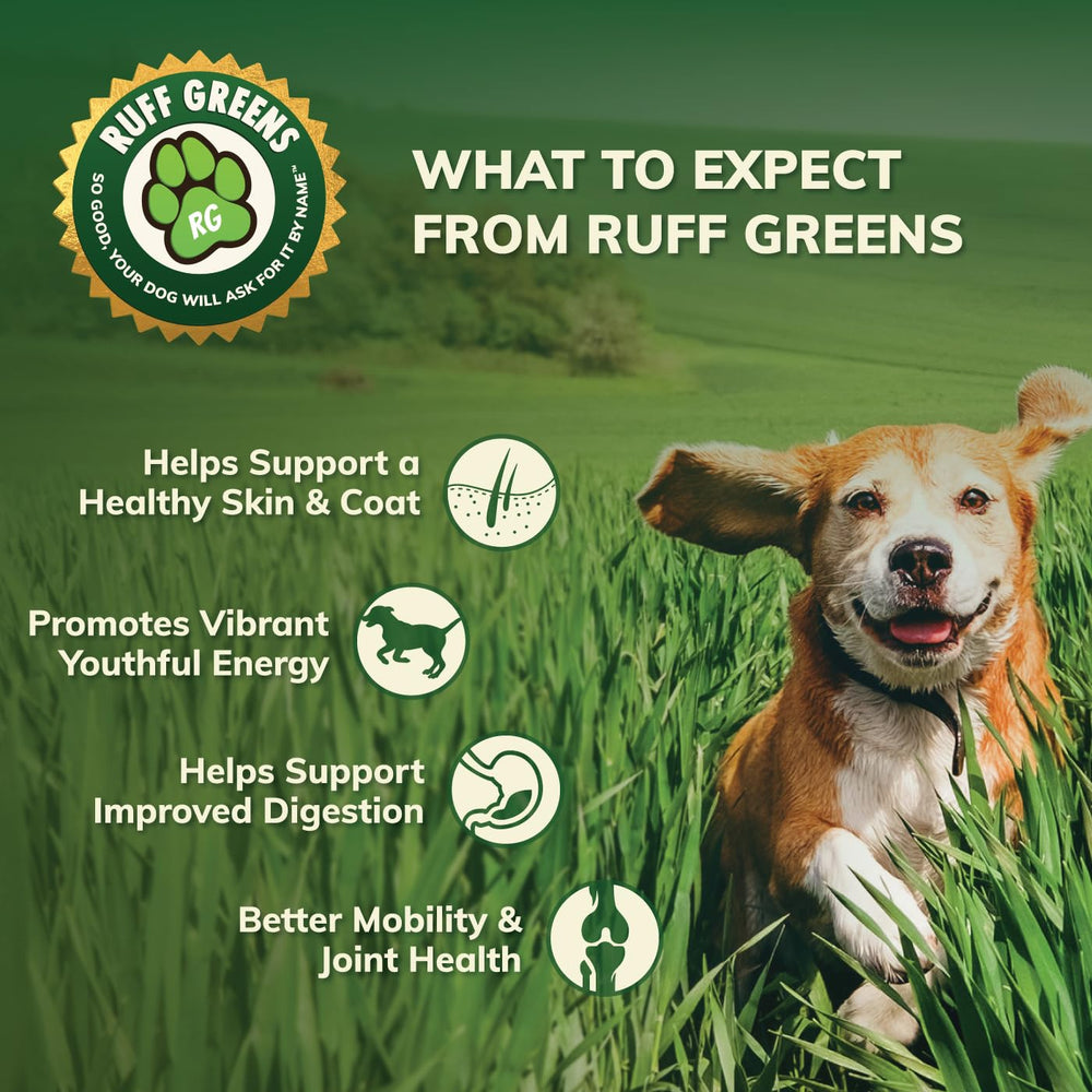 Ruff Greens senior dog mobility support for aging pets