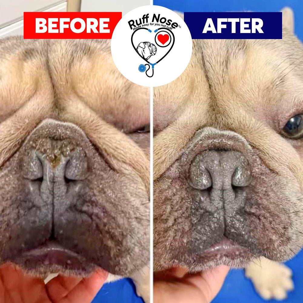 RuffNose paw balm applied for daily conditioning