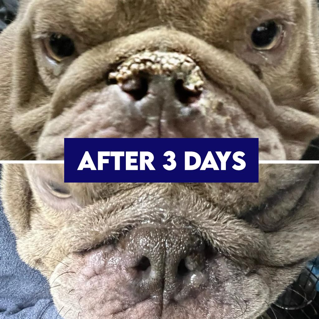 Suitable for all dog breeds and sizes with RuffNose