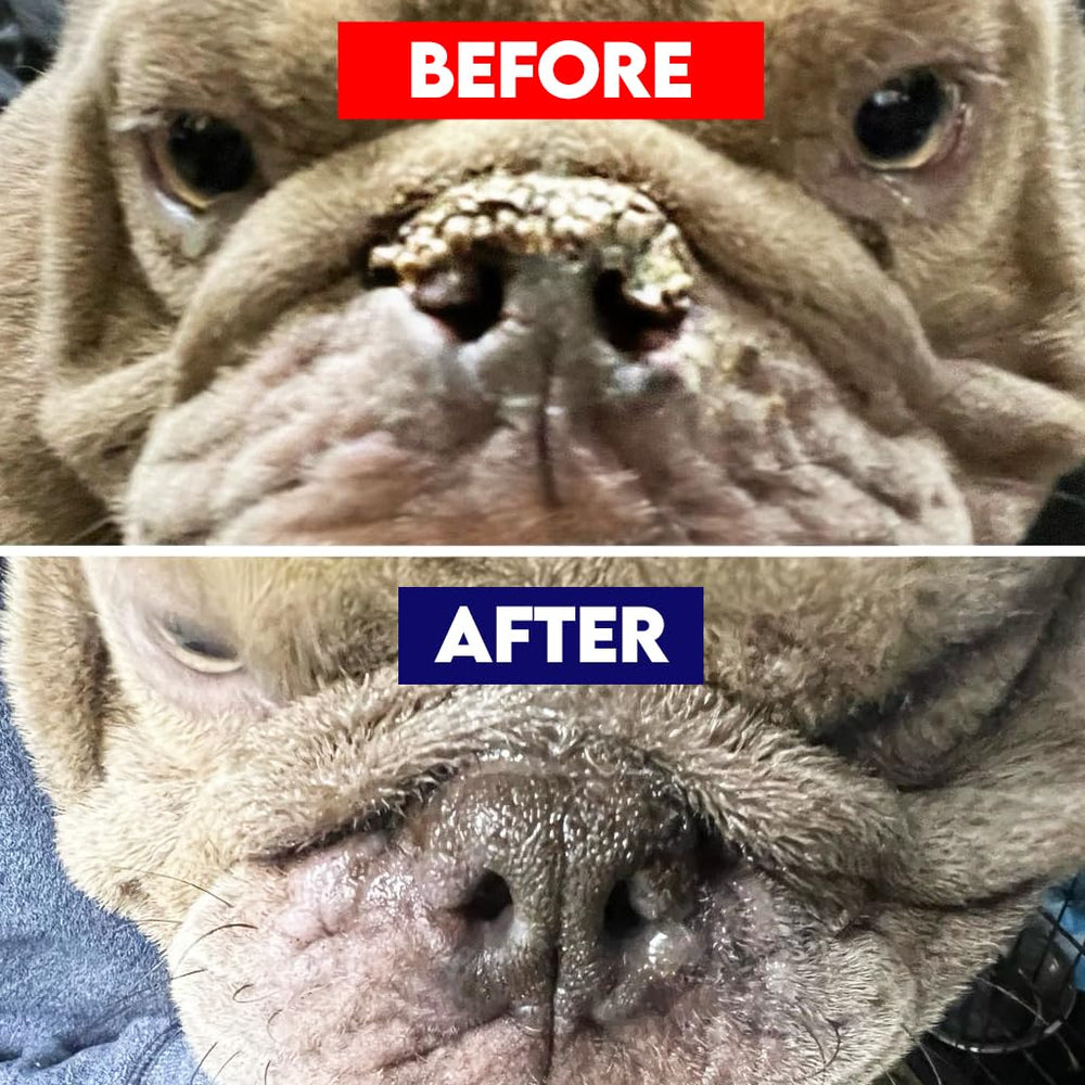 RuffNose balm is safe for licking and non-toxic