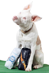 Ruff Puff durable tug-and-fetch toy supports active exercise