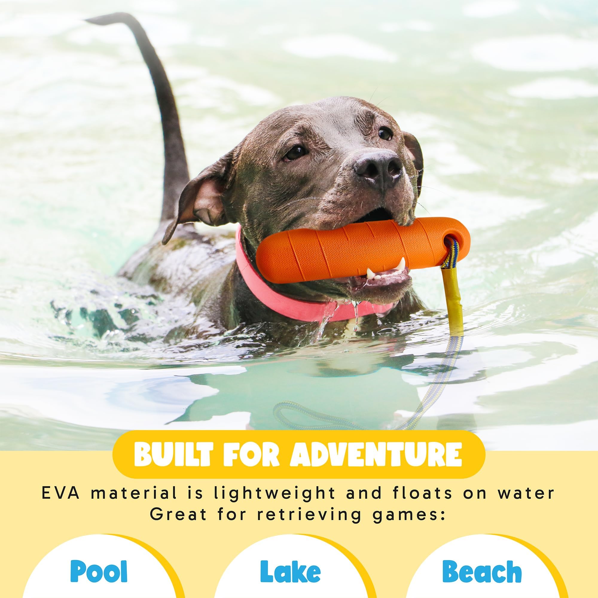 Ruffify water toy for extensive outdoor play with dogs of all sizes