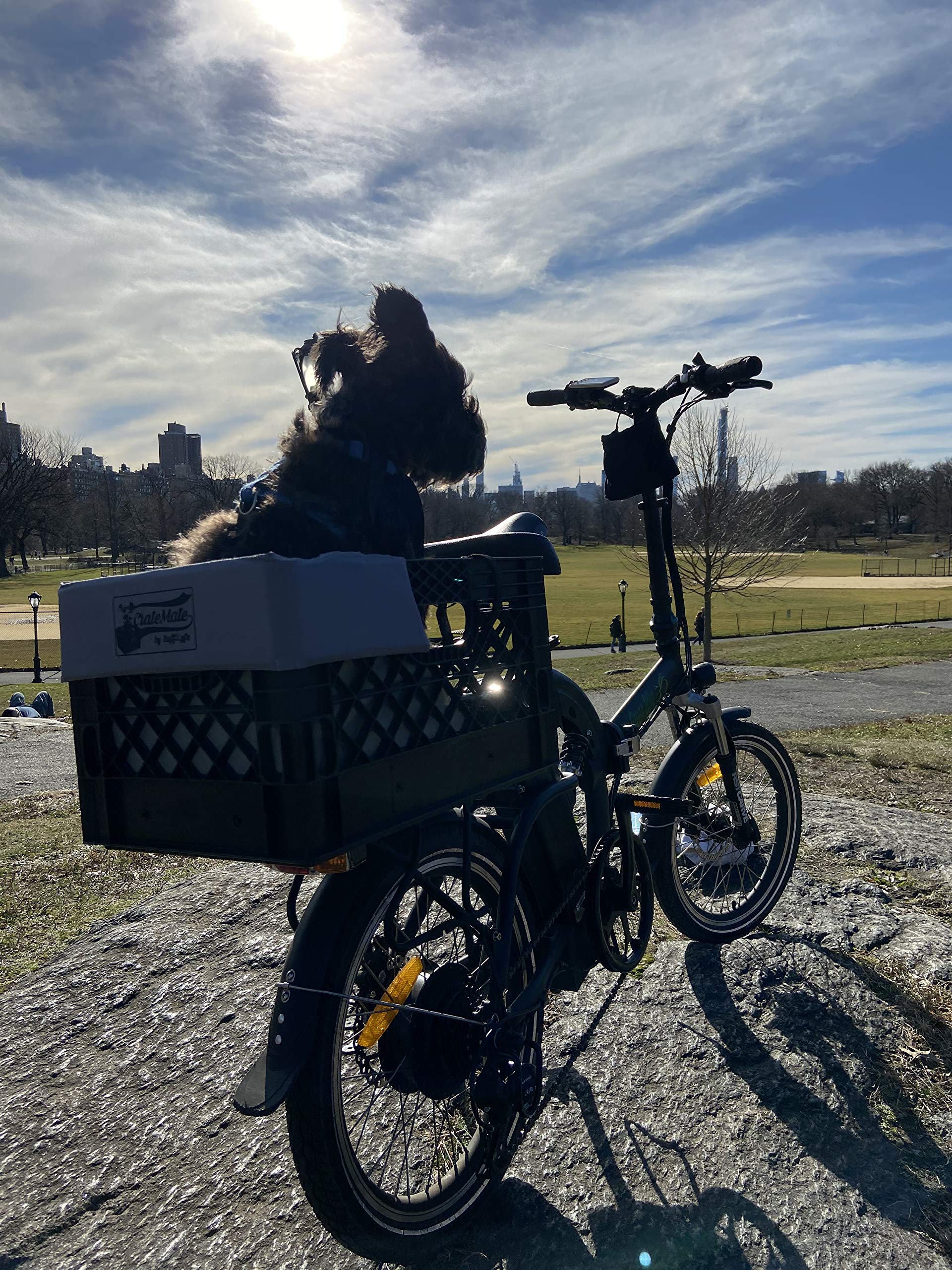RuffLyfe CrateMate attachment keeps your pet snug during biking adventures.
