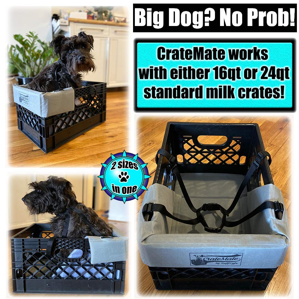 RuffLyfe CrateMate heavy-duty crate fasteners secure the crate to the rack.