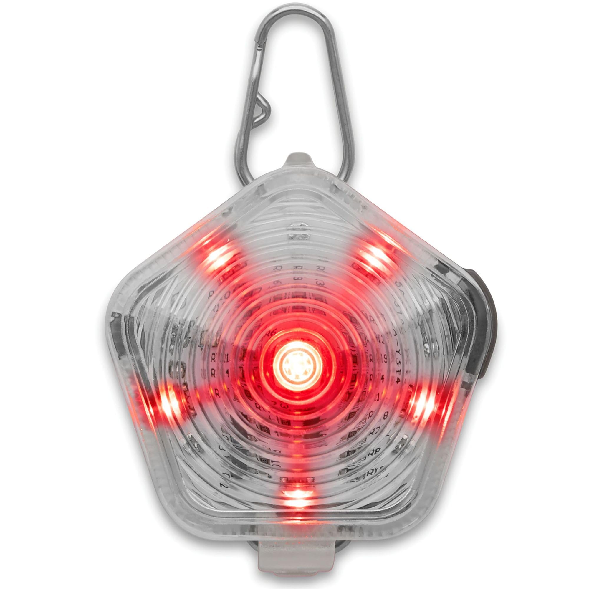 Ruffwear Beacon on a dog's collar in clear lake lighting enhances visibility