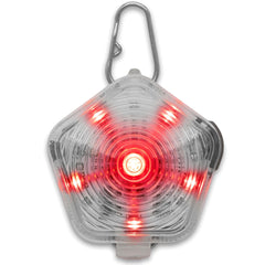 Ruffwear Beacon on a dog's collar in clear lake lighting enhances visibility