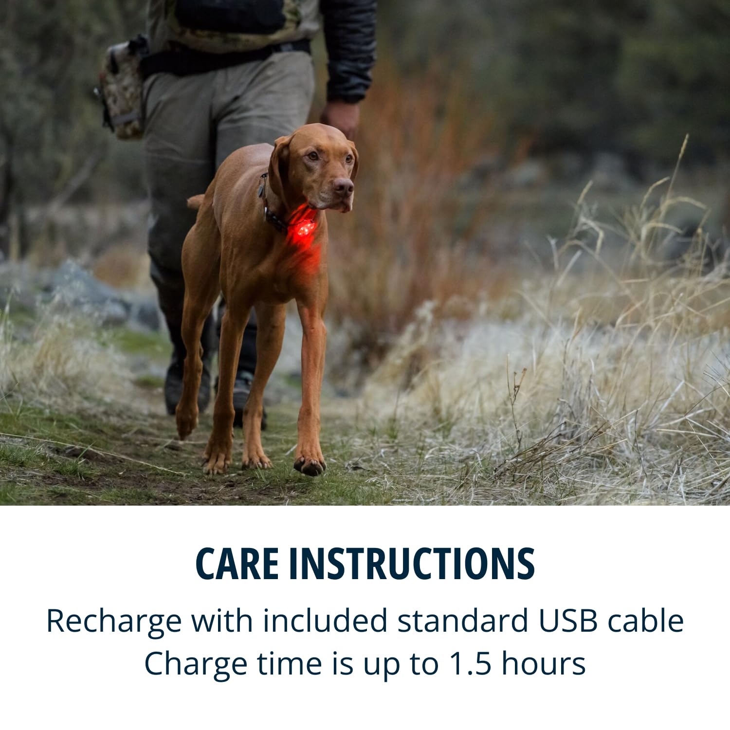 Ruffwear Beacon Quick Clip and Quick Ring enable easy attachment