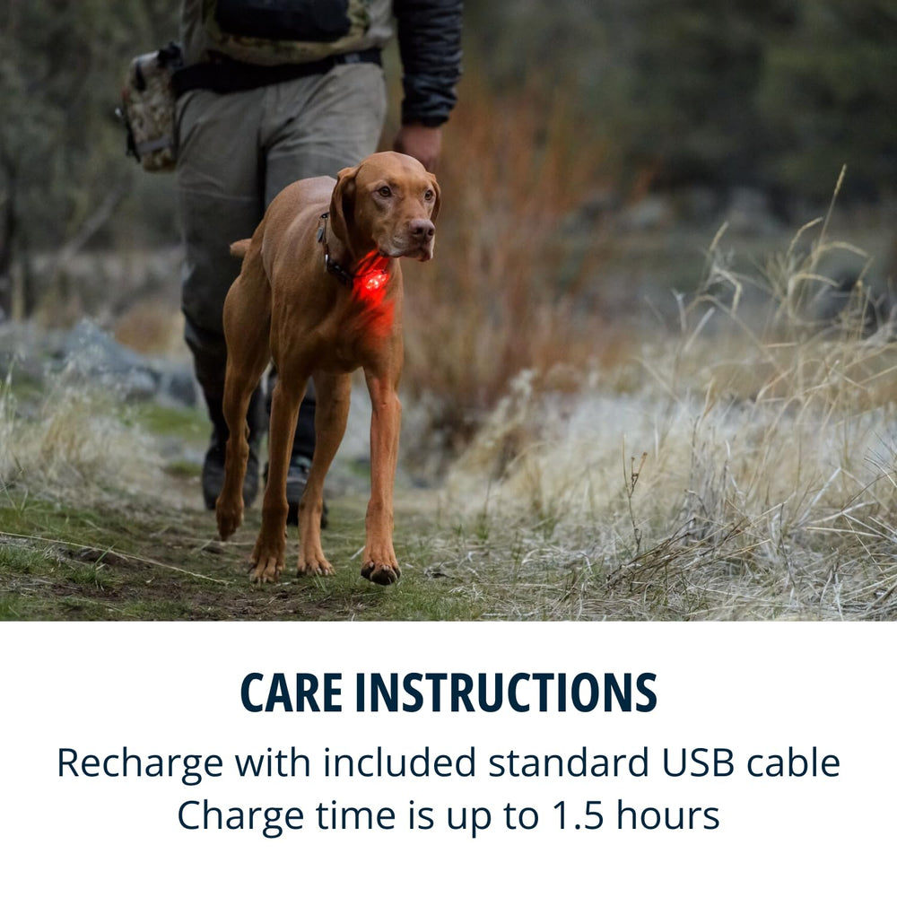 Ruffwear Beacon Quick Clip and Quick Ring enable easy attachment