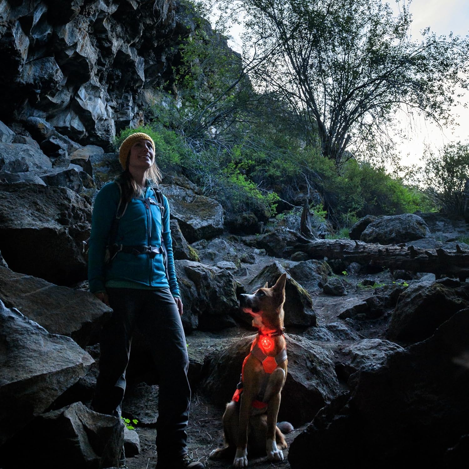 Ruffwear Beacon is waterproof and durable for wet, muddy outdoor adventures