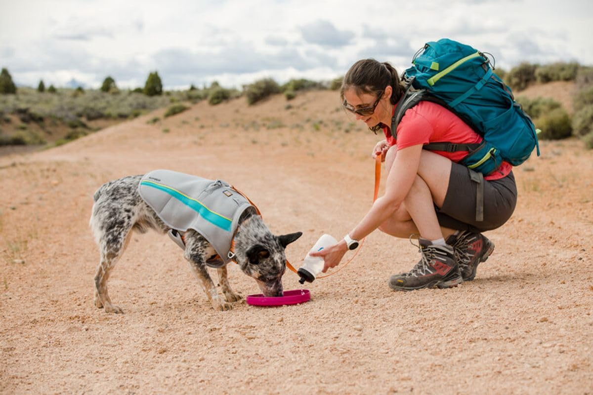 Ruffwear Camp Flyer Disc durable for backcountry adventures and park play.