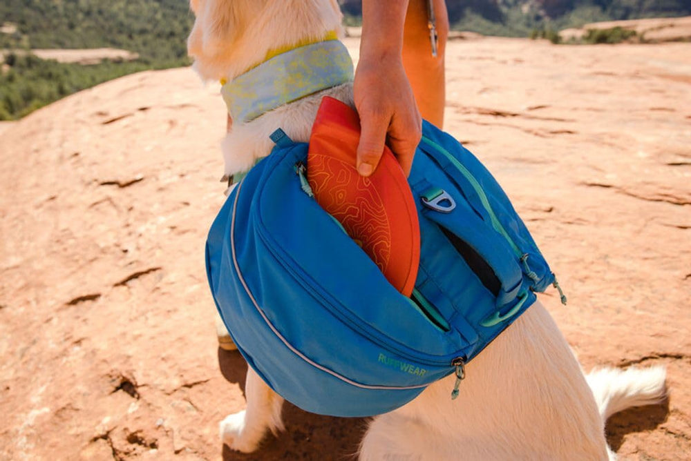 Ruffwear Camp Flyer Disc ready for open-field play.