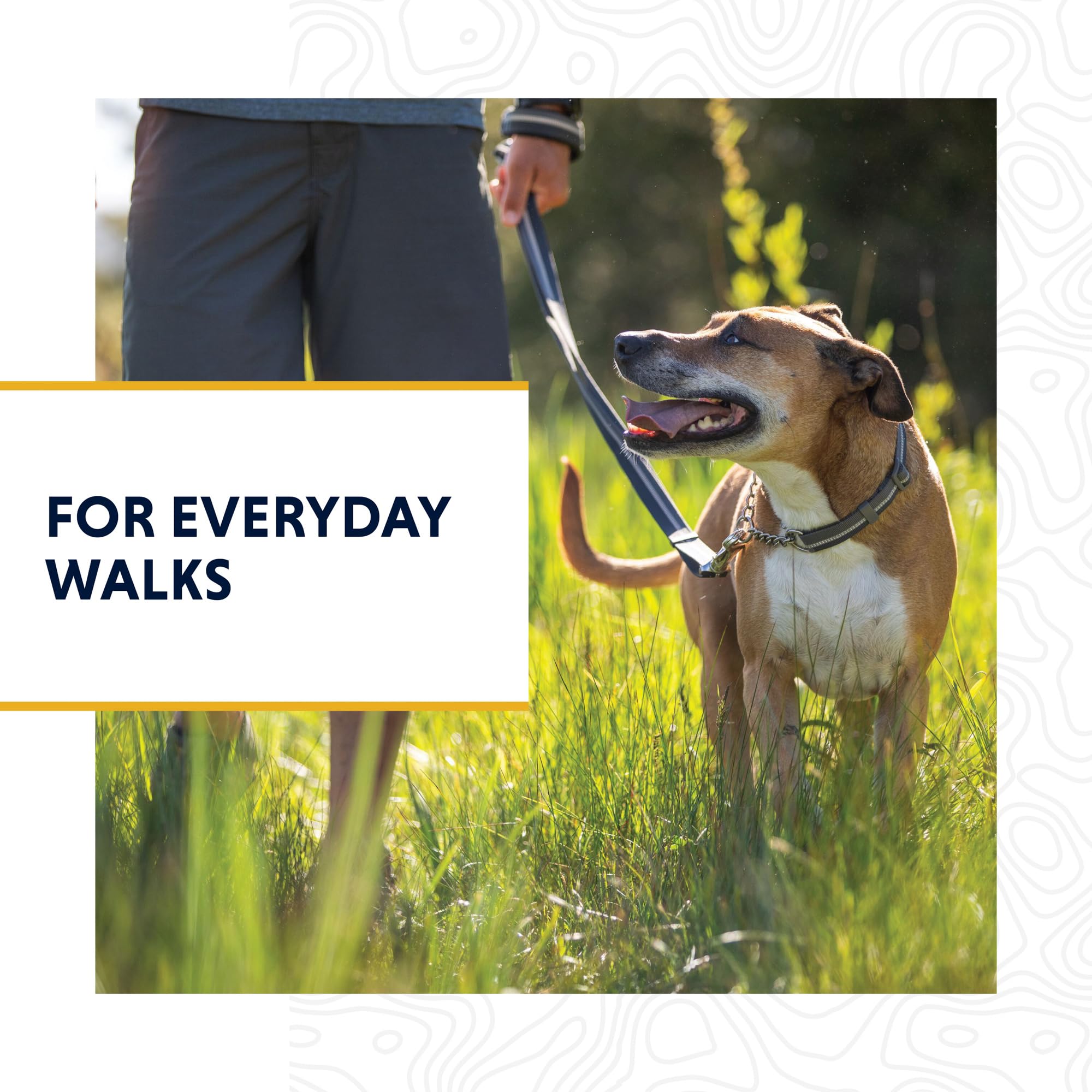 Ruffwear separate ID attachment with silencer reduces training distractions.