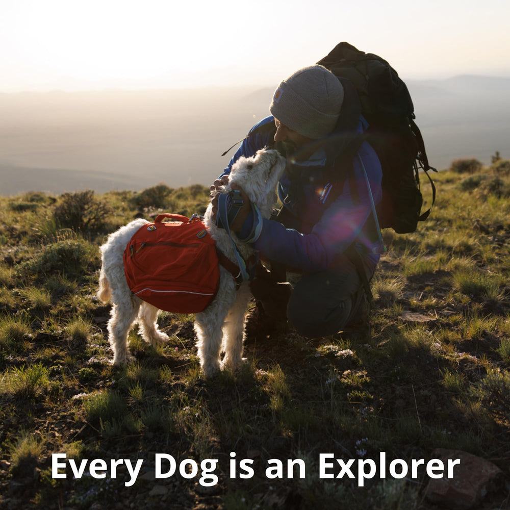Alpine Dawn Ruffwear Crag Collar adds a stylish touch to outdoor adventures.