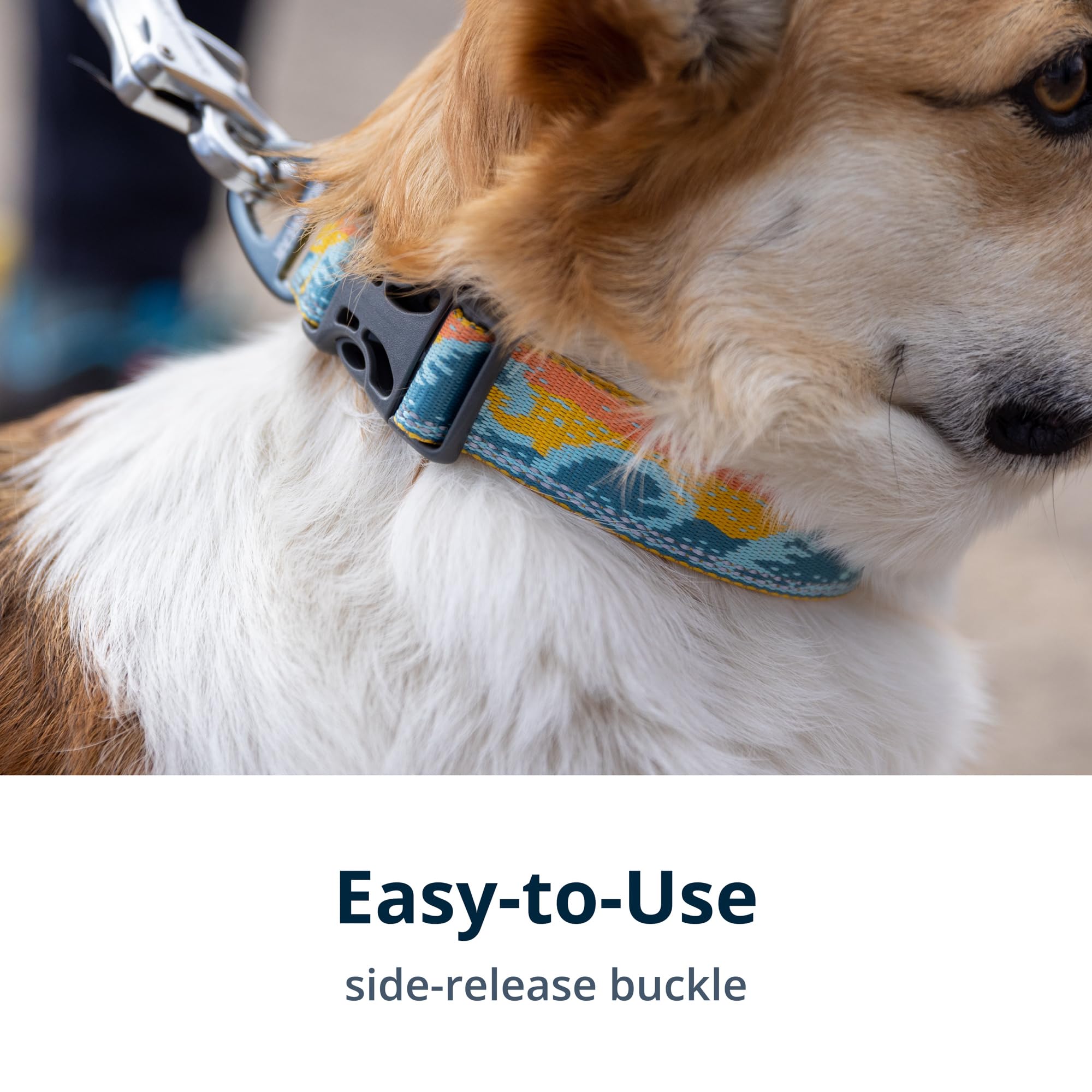 Lightweight Ruffwear Crag Collar delivers all-day comfort on long hikes.
