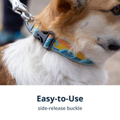 Lightweight Ruffwear Crag Collar delivers all-day comfort on long hikes.