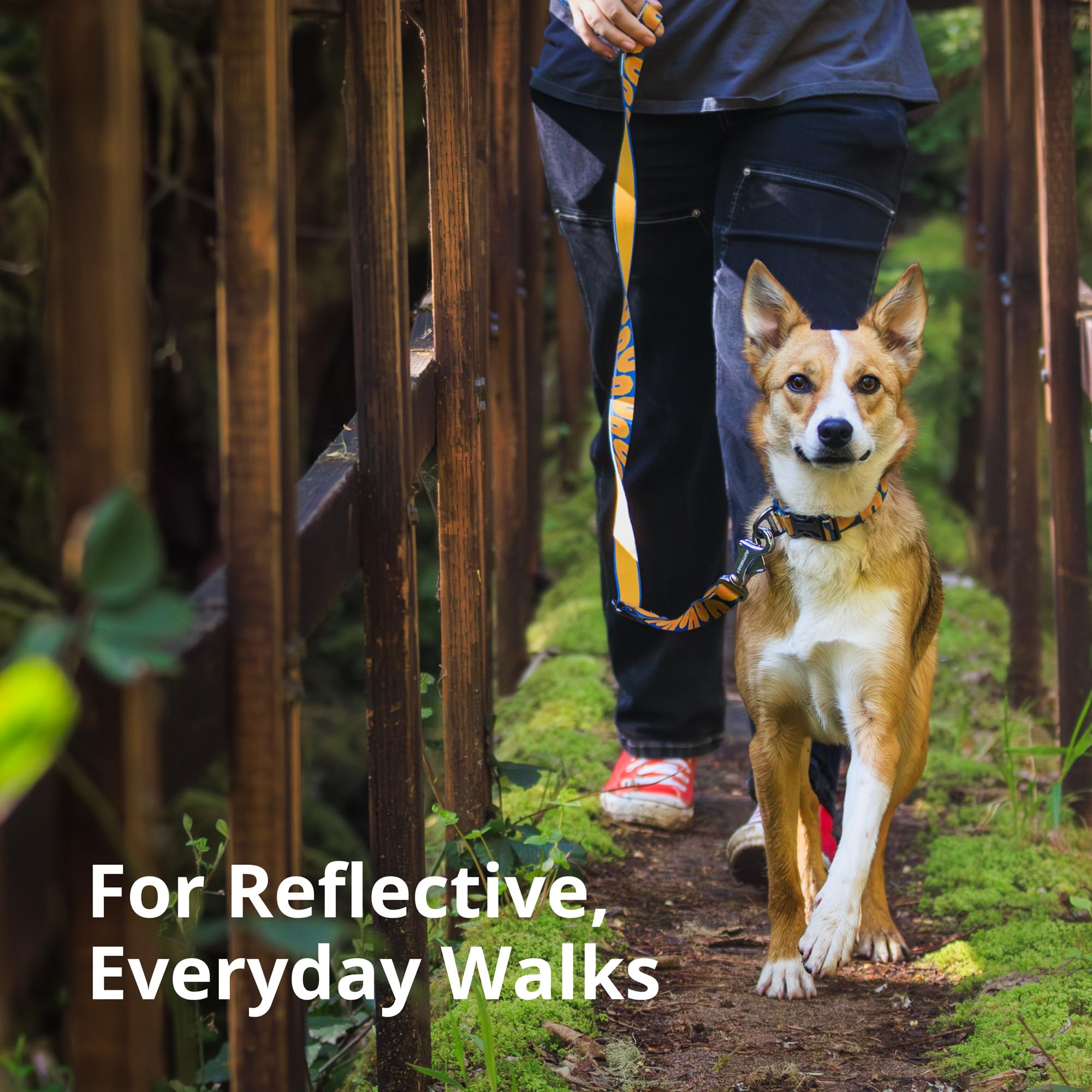 Reflective elements on Ruffwear Crag Collar boost visibility at dawn or dusk