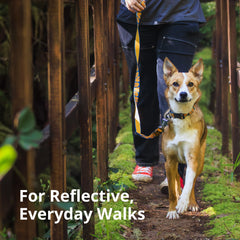 Reflective elements on Ruffwear Crag Collar boost visibility at dawn or dusk