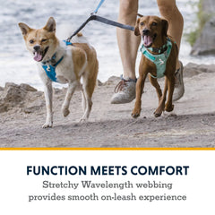 Ruffwear Aluminum V-ring integrated to convert a leash into a two-dog setup