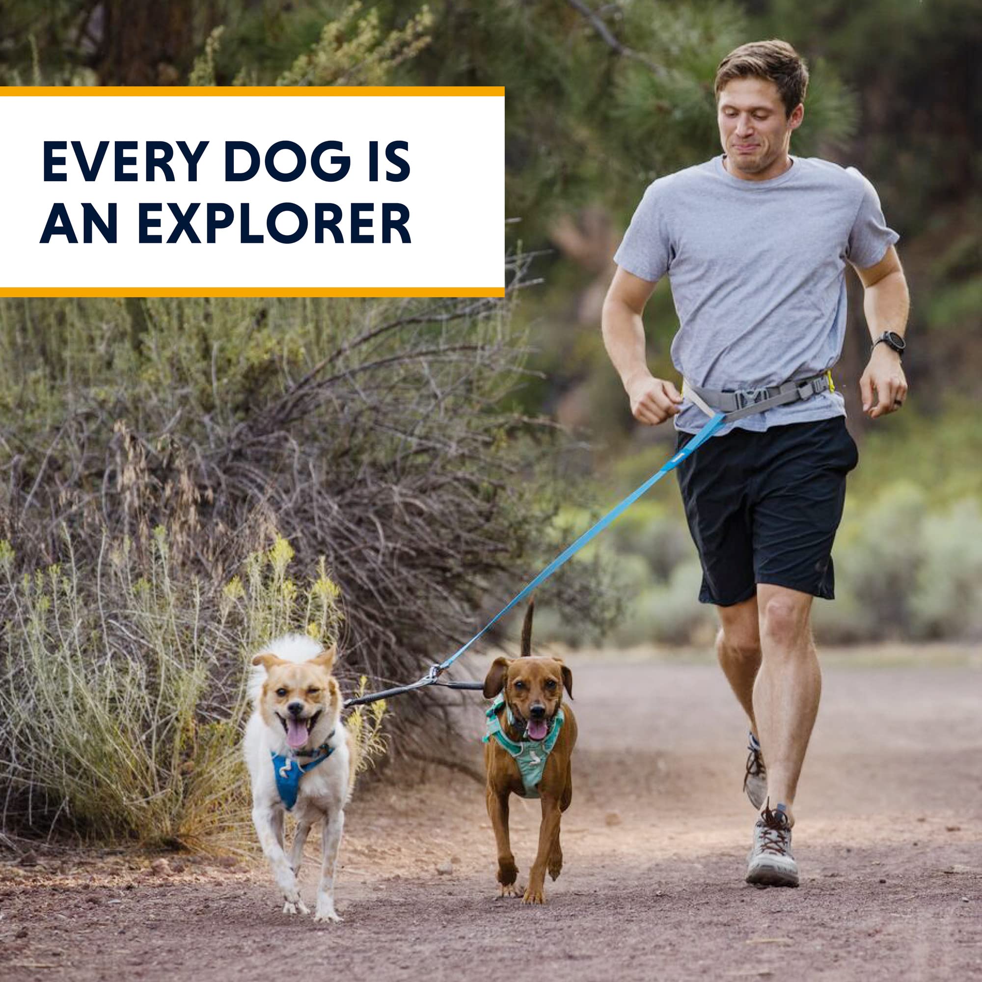 Ruffwear Balanced walking with a two-dog setup reduces tugging