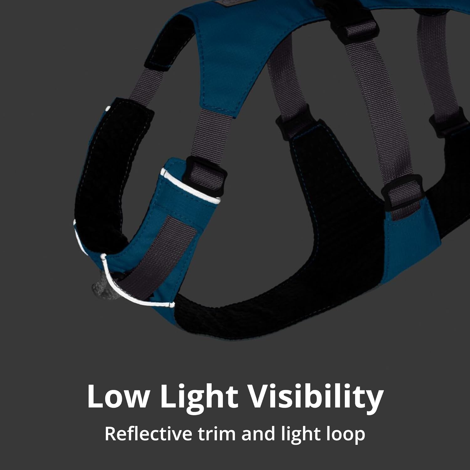 Ruffwear Flagline rear leash point emphasizes rear control during movement