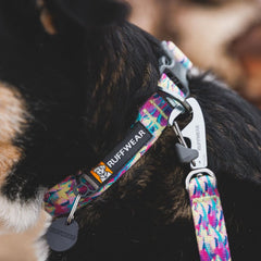 Ruffwear Front Range collar aluminum V-ring close-up emphasizing rustproof leash attachment.