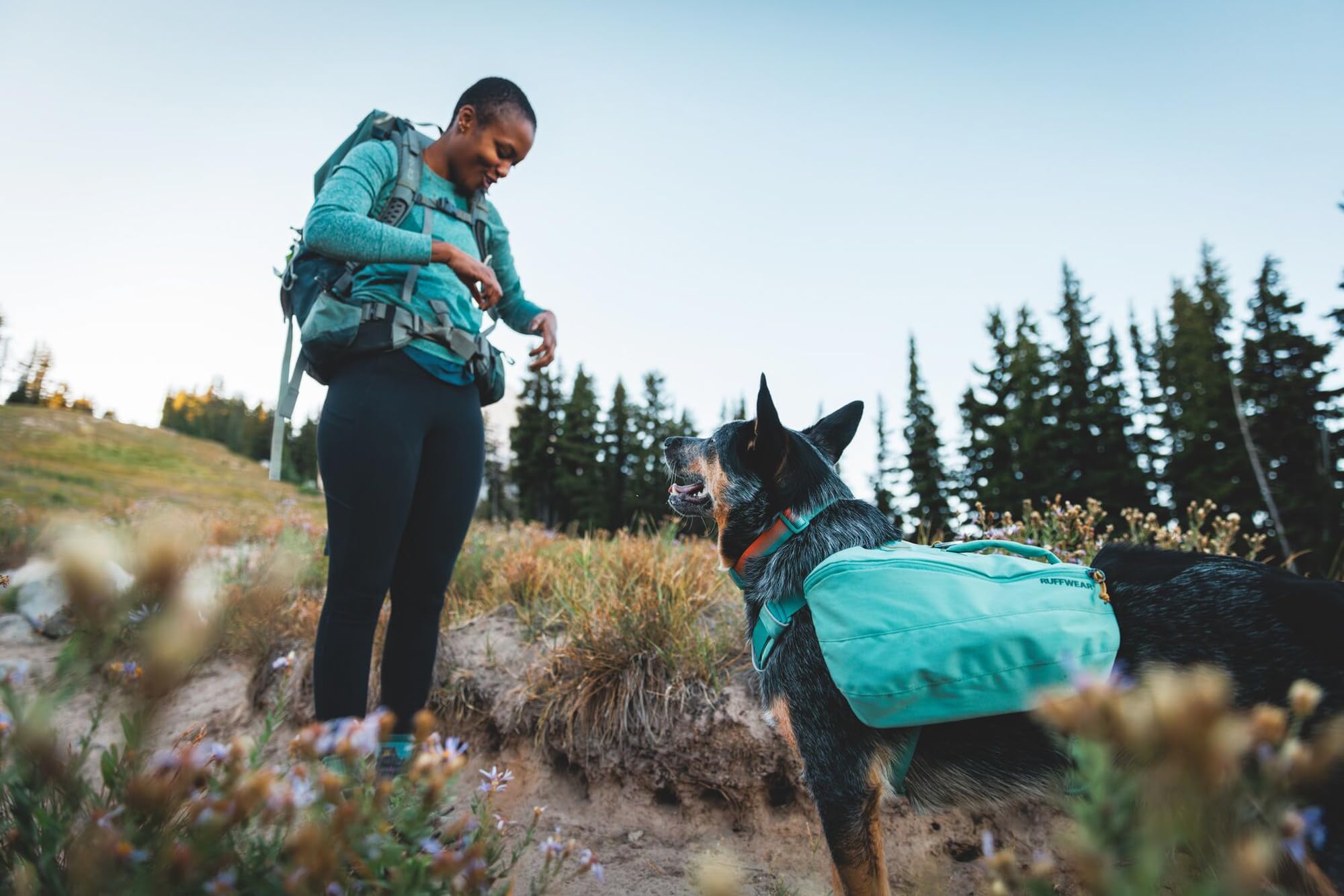 Ruffwear Front Range collar with integrated ID attachment keeps tags organized.