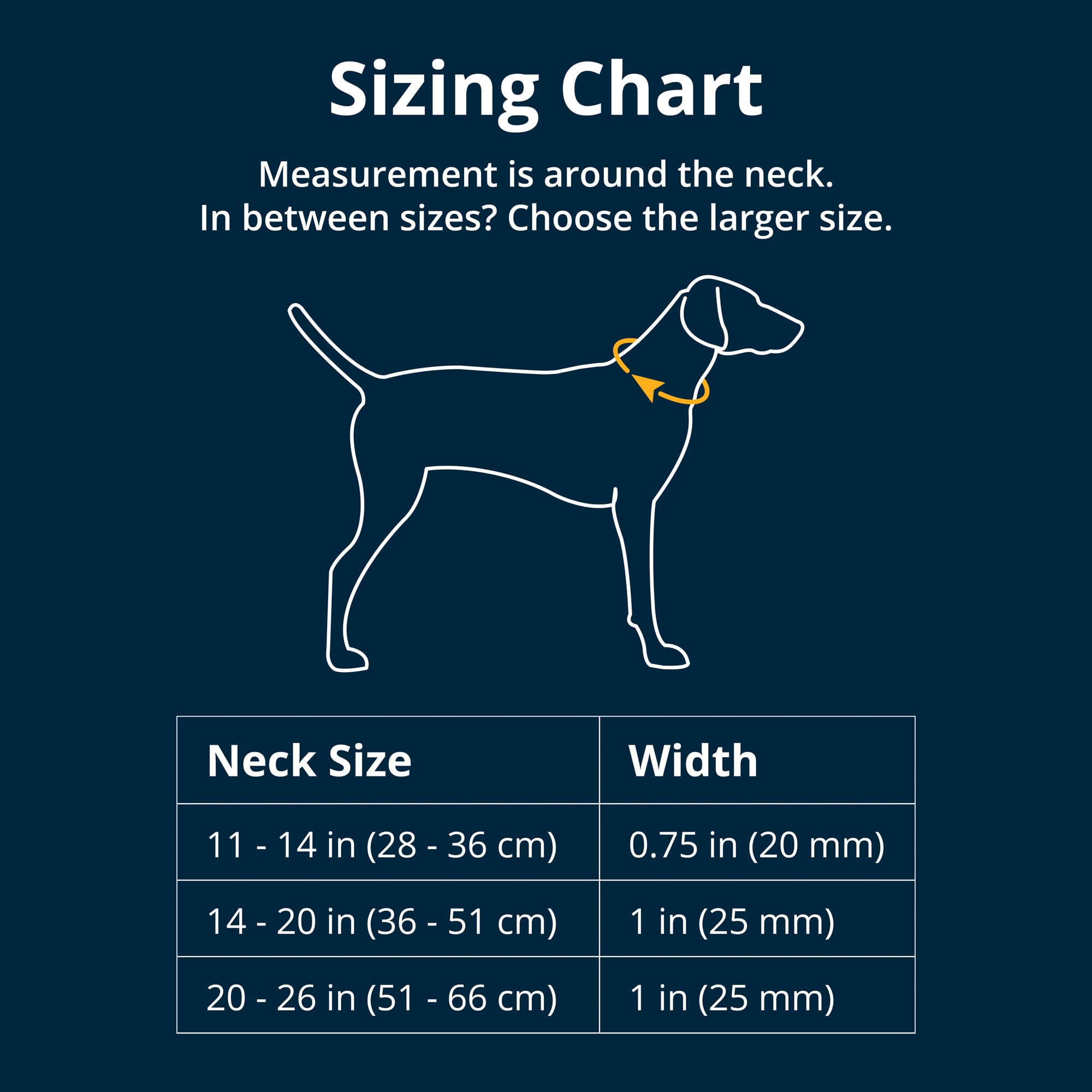 Ruffwear Front Range collar side-release buckle ensuring quick, secure fits.