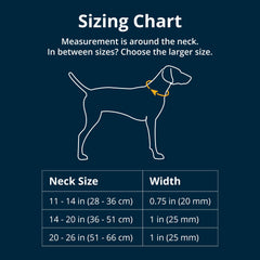 Ruffwear Front Range collar aluminum V-ring closeup highlighting rustproof leash attachment