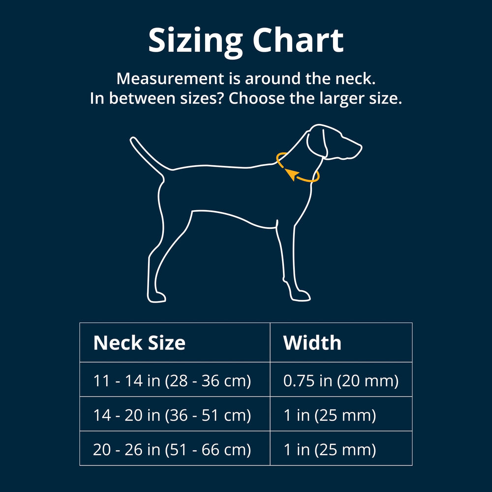Ruffwear Front Range collar showing side-release buckle for quick, reliable fitting.