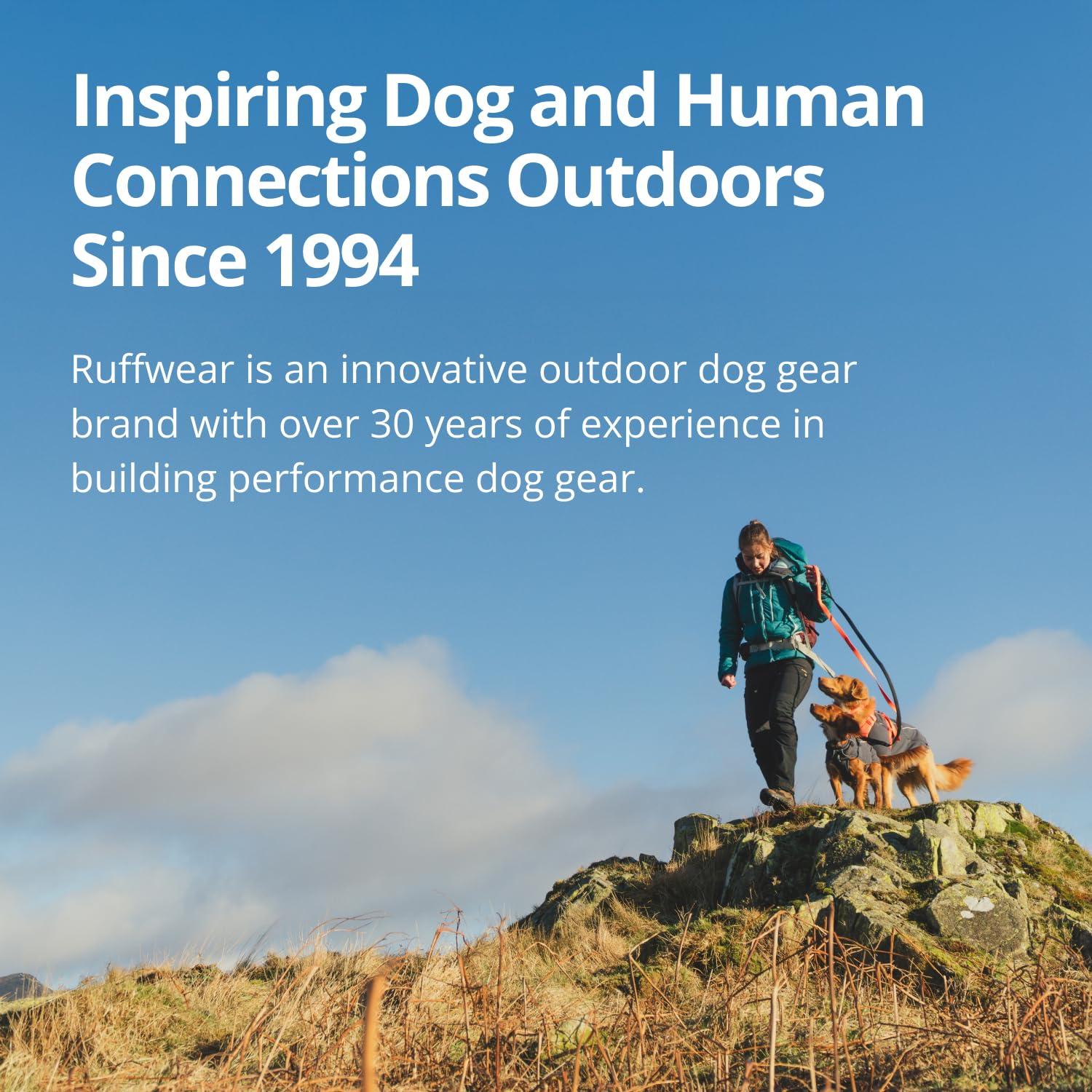 Ruffwear Front Range Flex dual-leash-points photo emphasizes training and relaxed walks