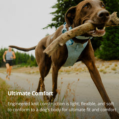 Ruffwear Front Range Flex four-point adjustment ensures a secure fit.