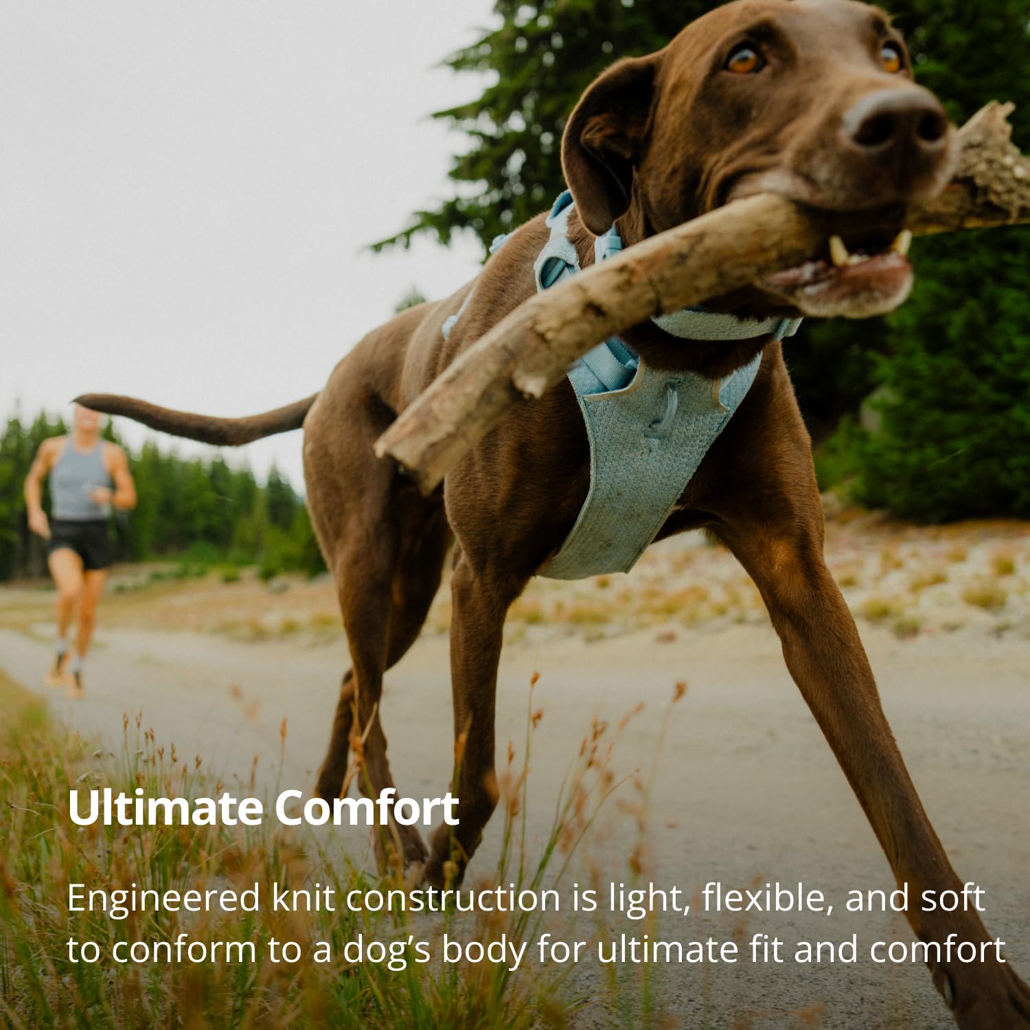 Ruffwear Front Range Flex front leash clip showing no-pull training capability.